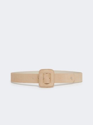 Briosuede