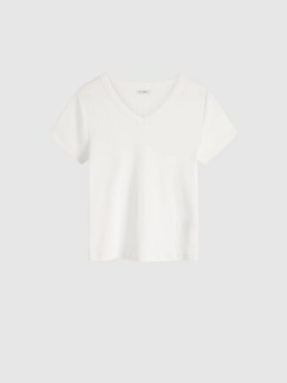 Organic Cotton V Neck Tee